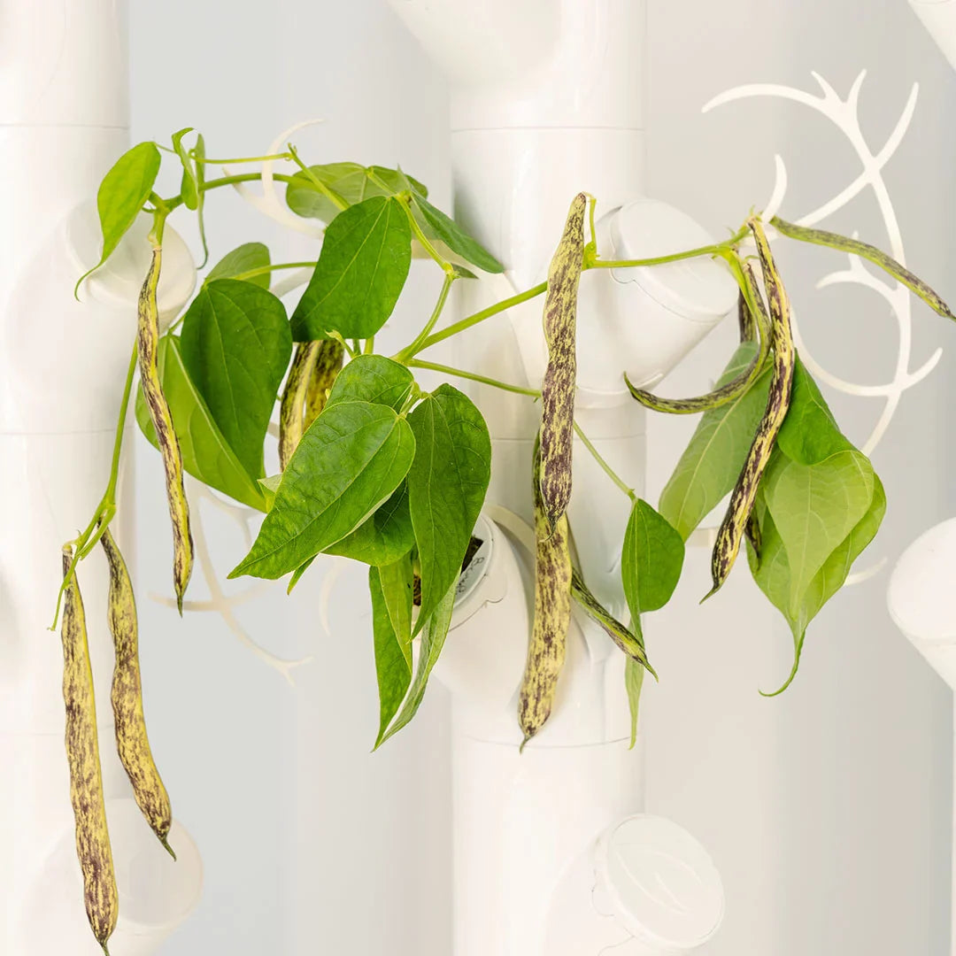 Floroetut artificial plant in decorative pot