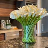 Calaoton artificial plant in decorative pot