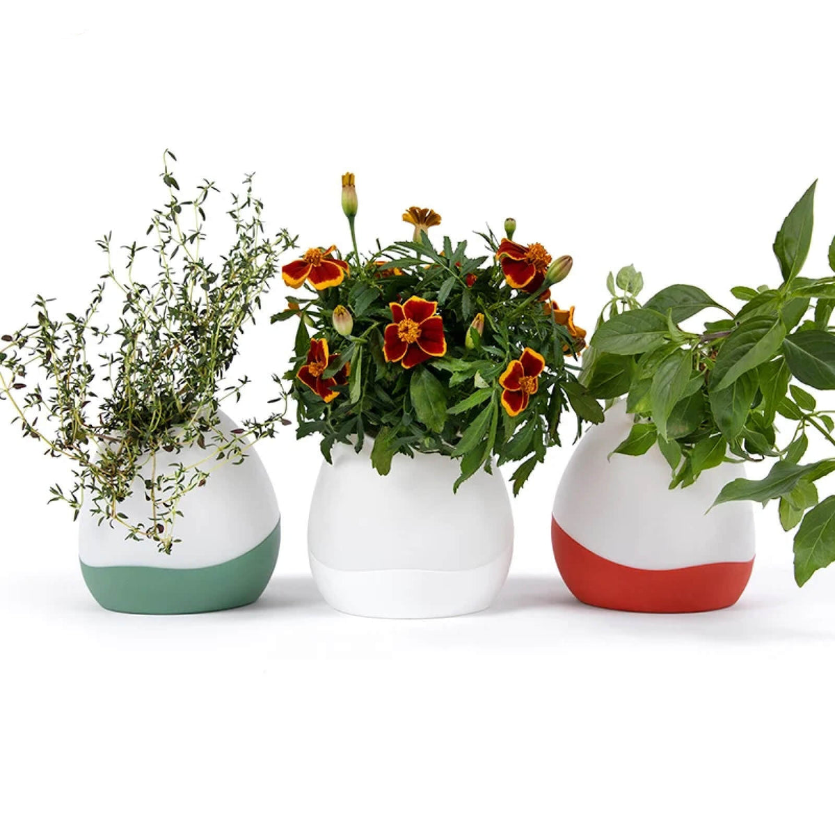 Floroalel artificial plant in vase