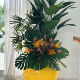 Tropiogar artificial plant in pot